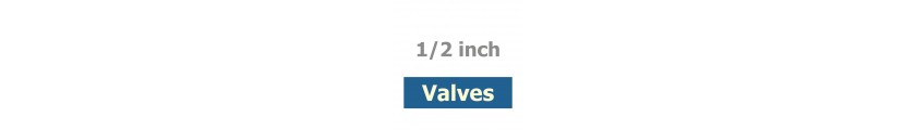1/2 inch Valves